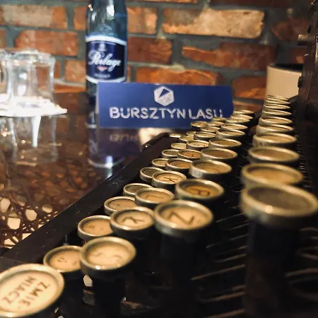 Апартаменты Bursztyn Lasu *